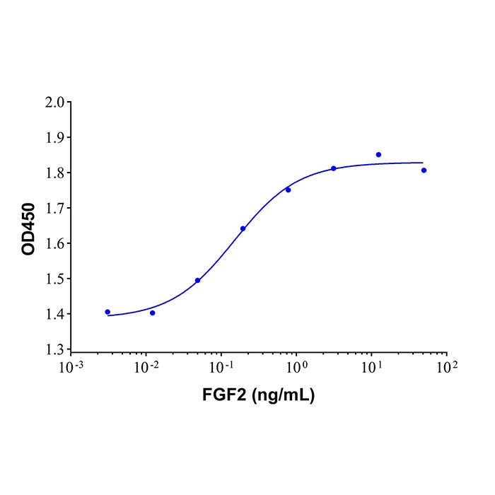 Recombinant Human FGF basic/FGF2/bFGF Protein,62031-54-3,无动物源,无载体,生物活性,ActiBioPure™,高性能,≥95%(SDS-PAGE),阿拉丁产品图