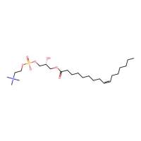 LysoPC(16:1(9Z))，76790-27-7，≥98%,as a 9:1 mixture of the 1-acyl and 2-acyl，10 mg/ml solution in ethanol，阿拉丁
