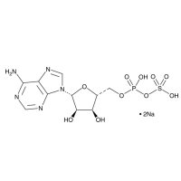 腺苷5′-磷酸硫酸盐 钠盐（APS），102029-95-8，Moligand™, ≥95%, 10 mM aqueous solution，阿拉丁