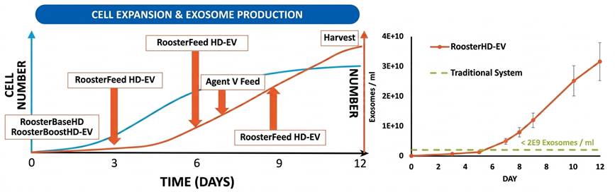 Rooster HD-EV在3D生物反應(yīng)器中實(shí)現(xiàn)長(zhǎng)達(dá)12天的外泌體連續(xù)生產(chǎn)