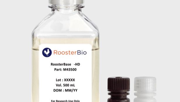 Rooster HD-EV：扩增收集一体化-完全化学成分限定外泌体生产培养基新品上线！