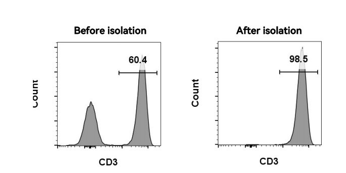 CD3分选试剂盒哪个好？FiniGet分必得®实测纯度数据与多品牌对比