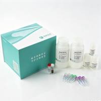 真菌DNA提取纯化试剂盒（磁珠法）