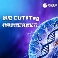 CUT&Tag