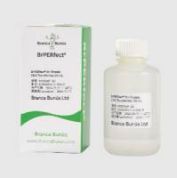 BrPERfect® 病毒 DNA 转染试剂