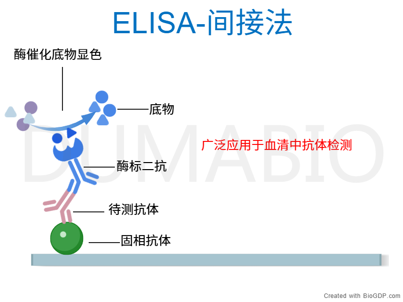 间接法封面.png