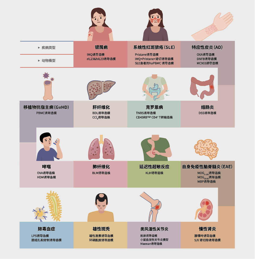 技术资料图片1