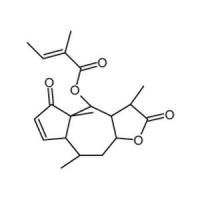 小堆心菊素 C