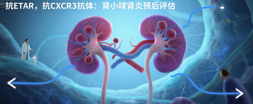 学术前沿｜抗ETAR与抗CXCR3抗体：肾小球肾炎预后评估的非HLA检测新指标