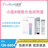 小鼠B细胞分选试剂盒