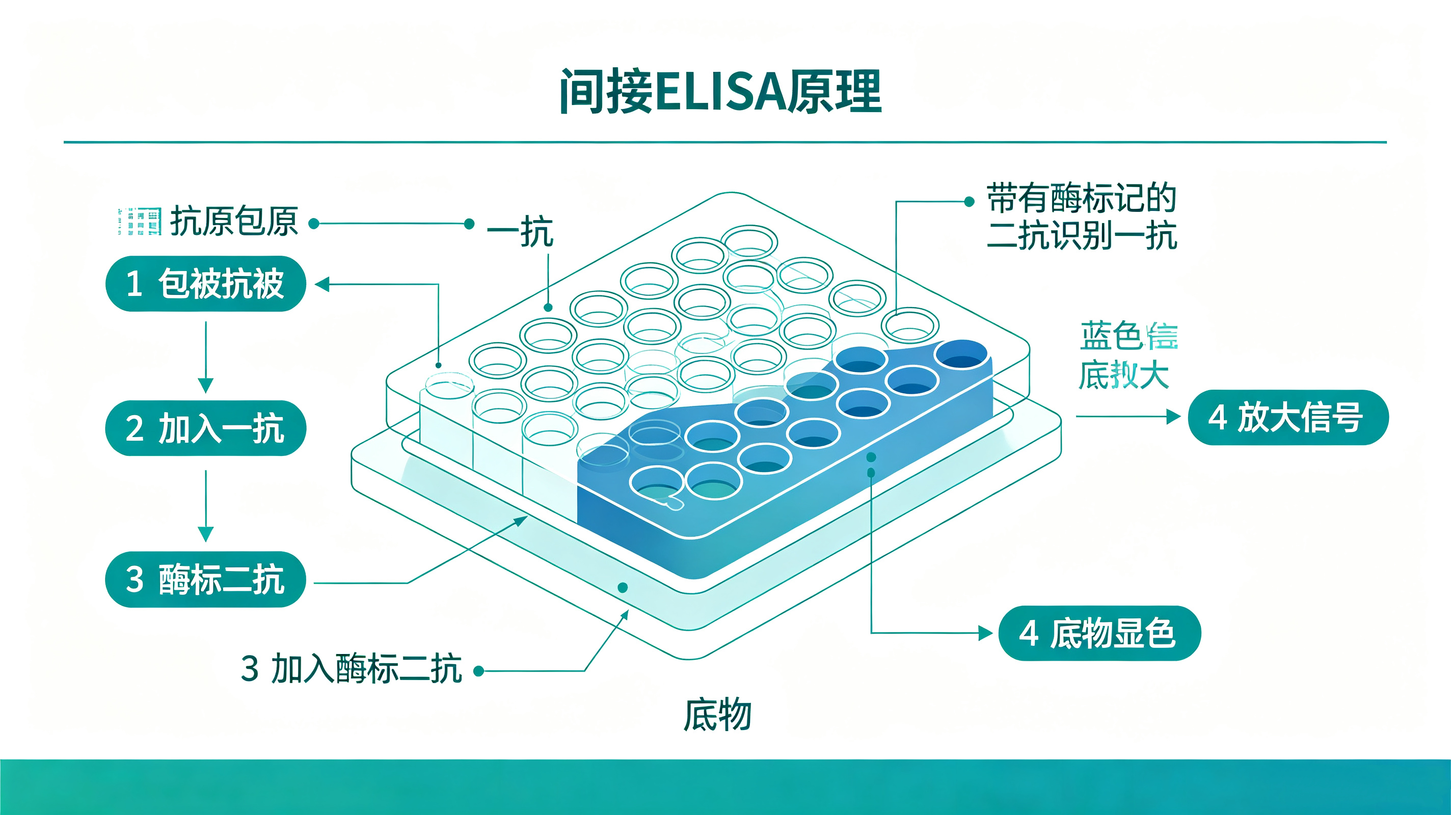 间接.jpg