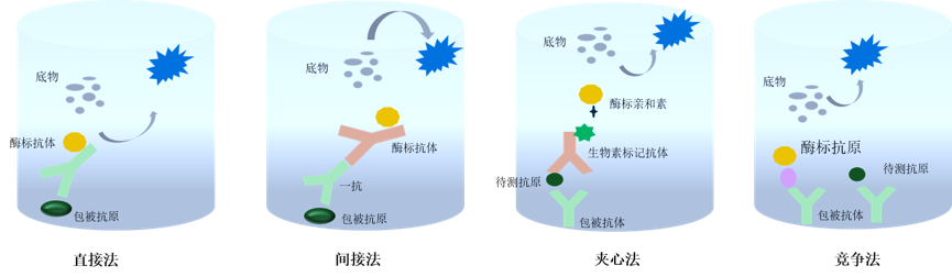实验室常用的ELISA方法，究竟是怎么一回事？