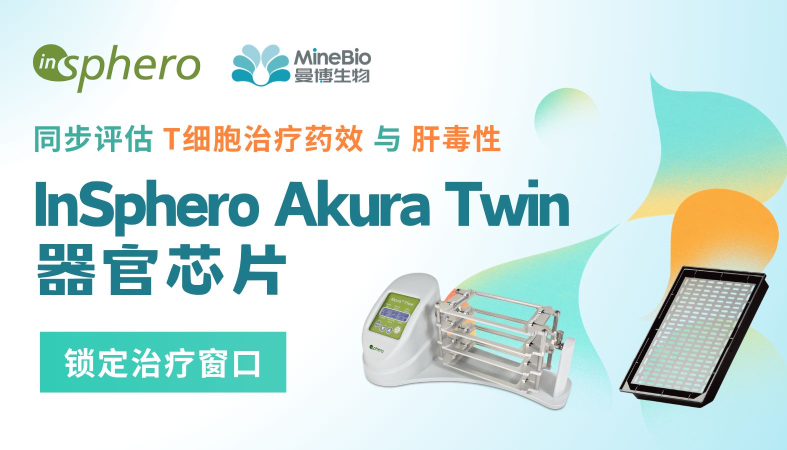 同步评估T细胞治疗药效与肝毒性，InSphero Akura Twin器官芯片锁定治疗窗口
