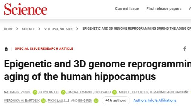 Science | 人类海马体衰老过程中的表观遗传与三维基因组重编程研究