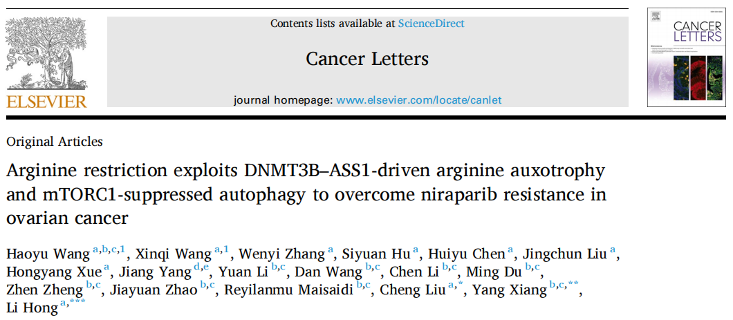 Cancer Letters(IF=11.8)|武大人民医院洪莉教授联合北京协和向阳教授团队：破解卵巢癌PARP抑制剂耐药，膳食精氨酸限制成为全新增敏策略