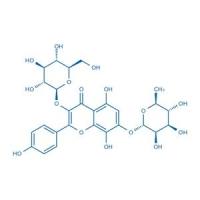 草质素-3-O-β-D-吡喃葡萄糖-7-O-α-L-鼠李糖苷