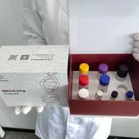 猪（Porcine）胱天蛋白酶4(CASP4)ELISA检测试剂盒 