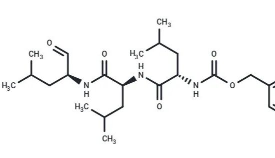 糖尿病如何“伤心”？这项研究揭示心肌能量失衡的关键新分子