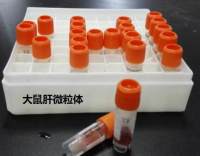 大鼠肝微粒体 Rat Liver Microsomes 药物代谢稳定性实验/ADME实验/药理和药代相关实验