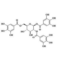 1,2,6-三-O-没食子酰-β-D-吡喃葡萄糖