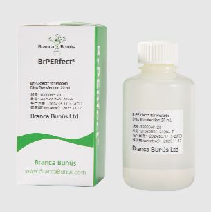 BrPERfect® 蛋白质 DNA 转染试剂