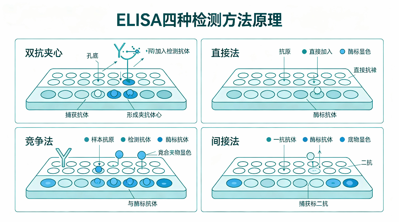 四大检测方法.jpg