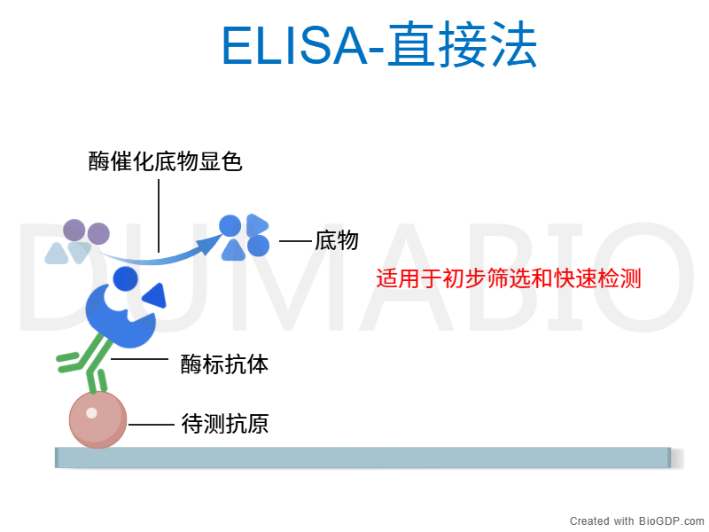 直接法封面1.png