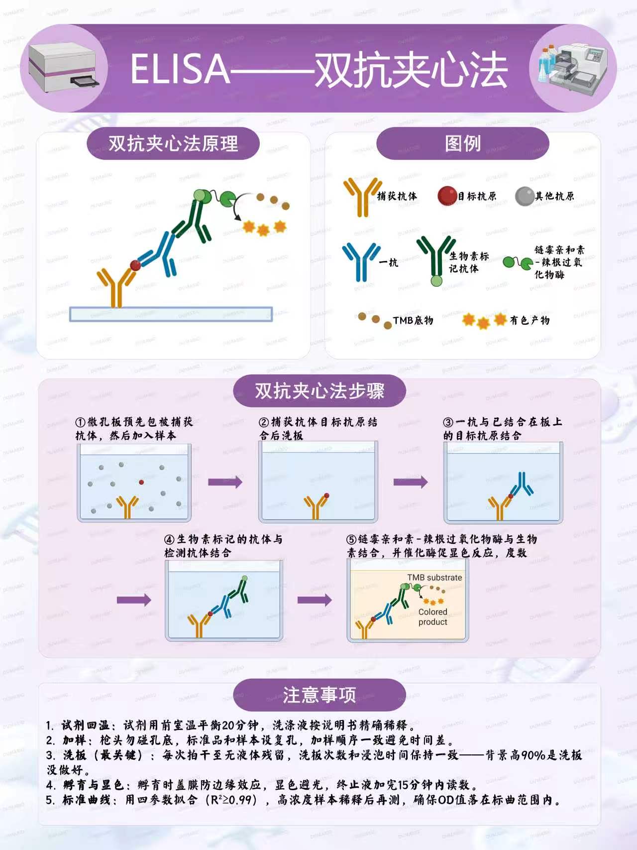 双抗1.jpg