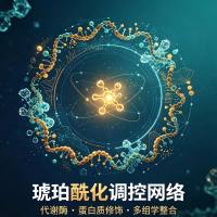 琥珀酰化修饰组学