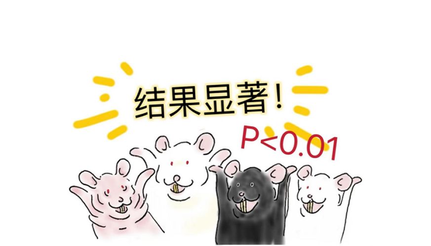活体成像实验方法分类总结及核心应用