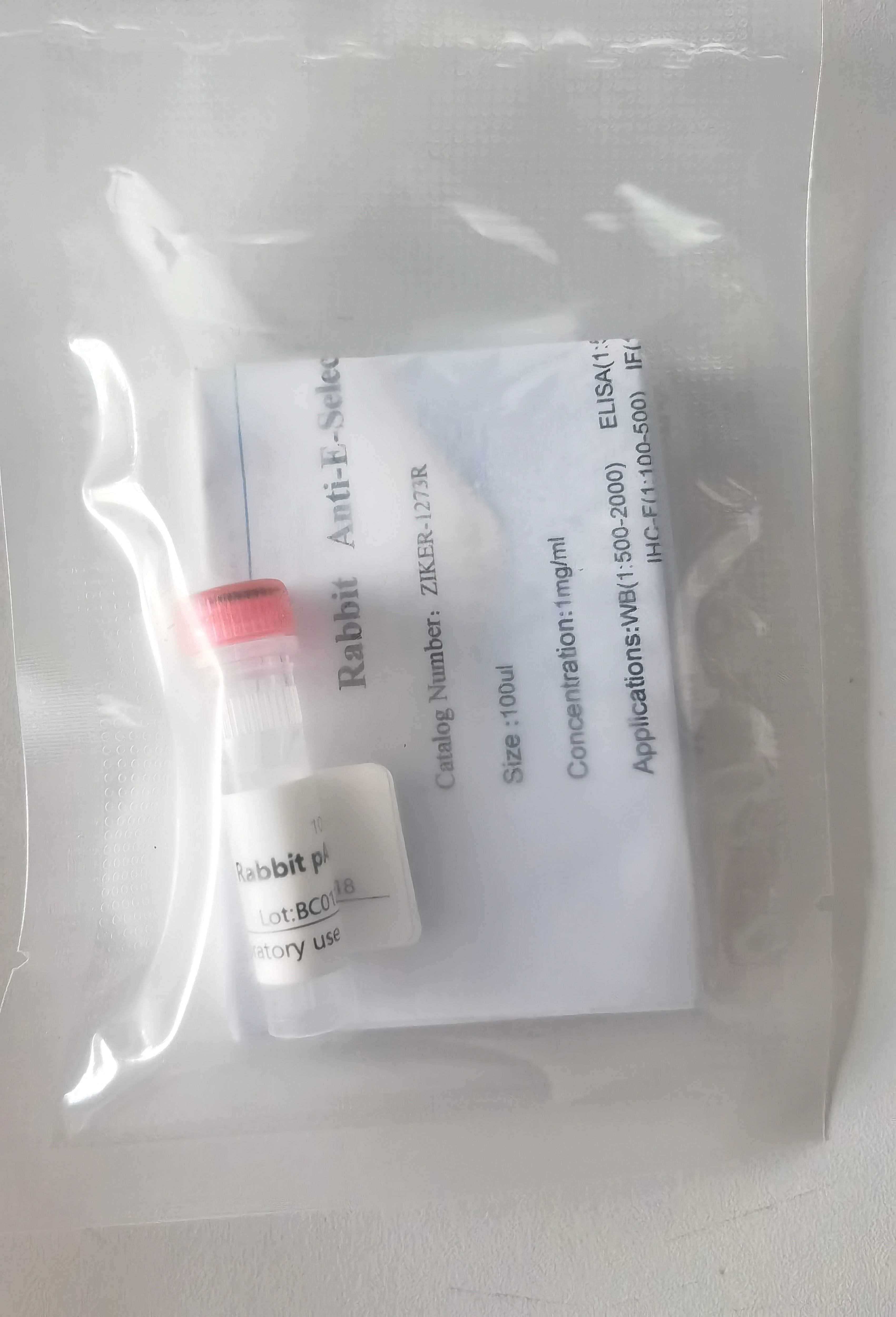 HRP-山羊抗小鼠IgG(H+L)产品图