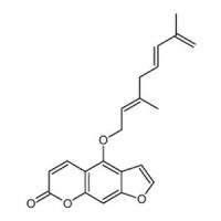 脱水羌活酚