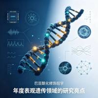 巴豆酰化修饰组学