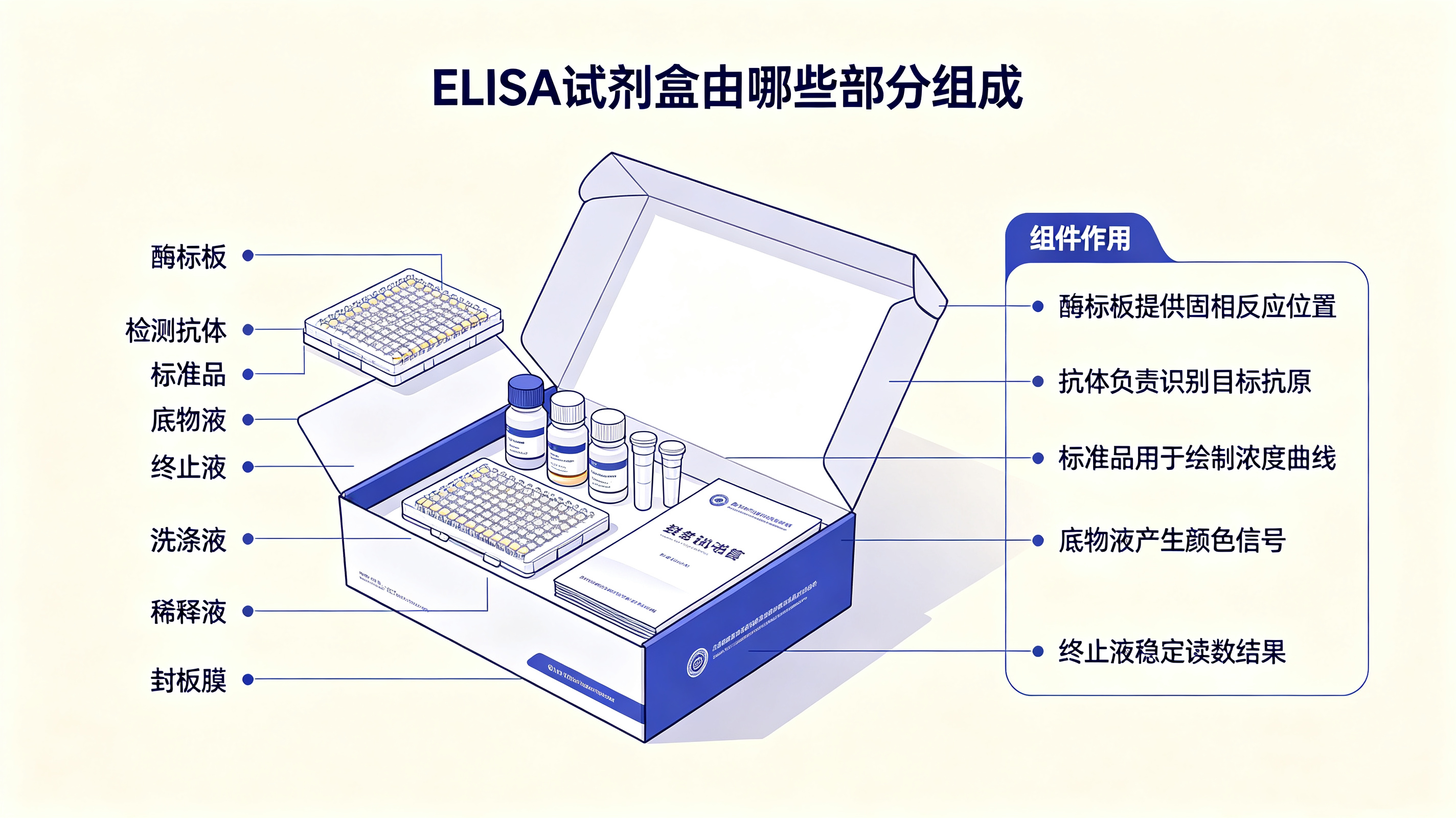 试剂盒的组成.jpg