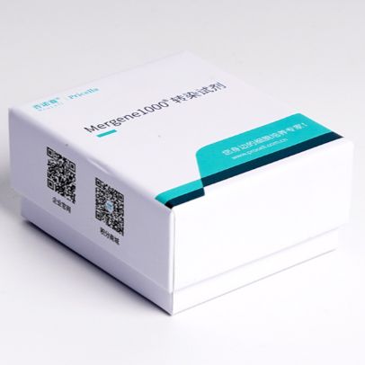 Mergene1000® MCF7 [MCF-7]细胞专用DNA转染试剂