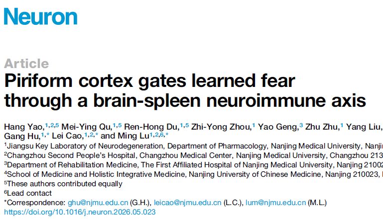 IF=15【客户文章】Neuron︱新突破！南京医科大学鲁明教授团队揭示脑-脾神经免疫通讯在压力感知致行为异常中的关键作用