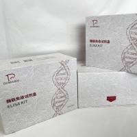 猪(Porcine)多巴胺转运蛋白(DAT)ELISA检测试剂盒