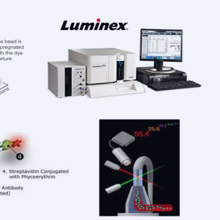 Luminex液相悬浮芯片