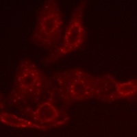 产品细节图片1