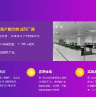 小鼠CA-2 ELISA试剂盒