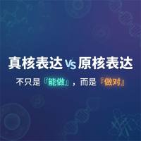 真核表达vs原核表达：不只是「能做」，而是「做对」