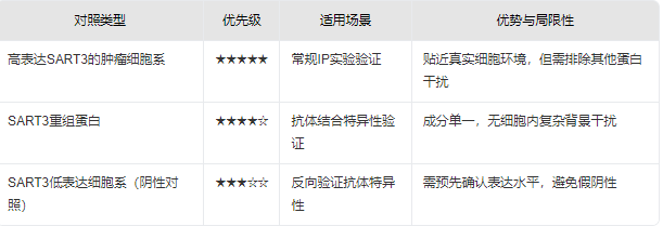 新闻图片2