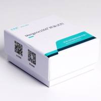 Mergene1000® Hela细胞专用DNA转染试剂