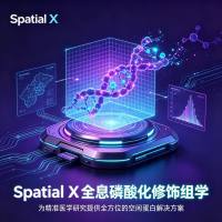 Spatial X全息磷酸化修饰组学