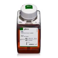 10091148赛默飞新西兰特级胎牛血清500ml Thermo Fisher Scientific Gibco