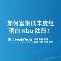 如何富集低丰度组蛋白 Kbu 肽段？