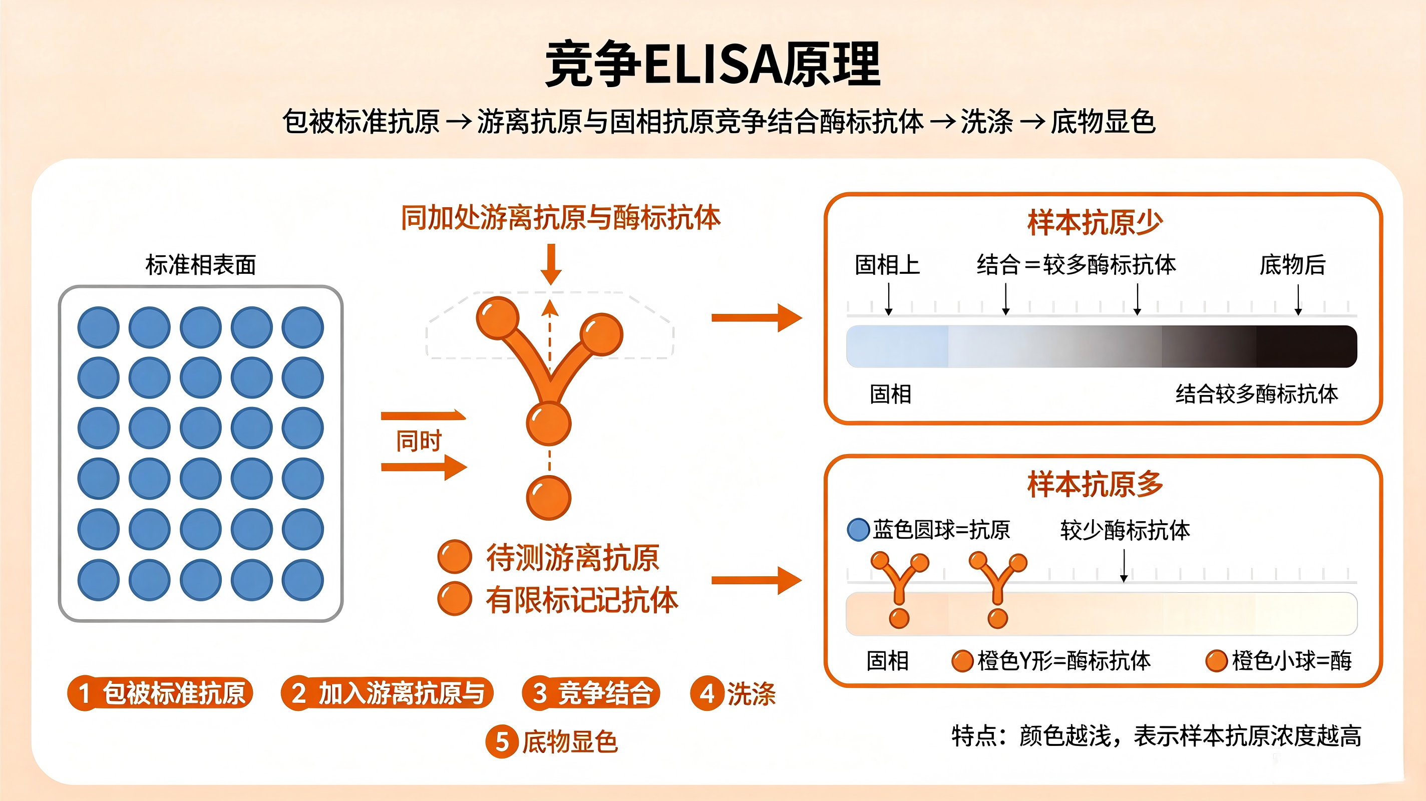 竞争.png