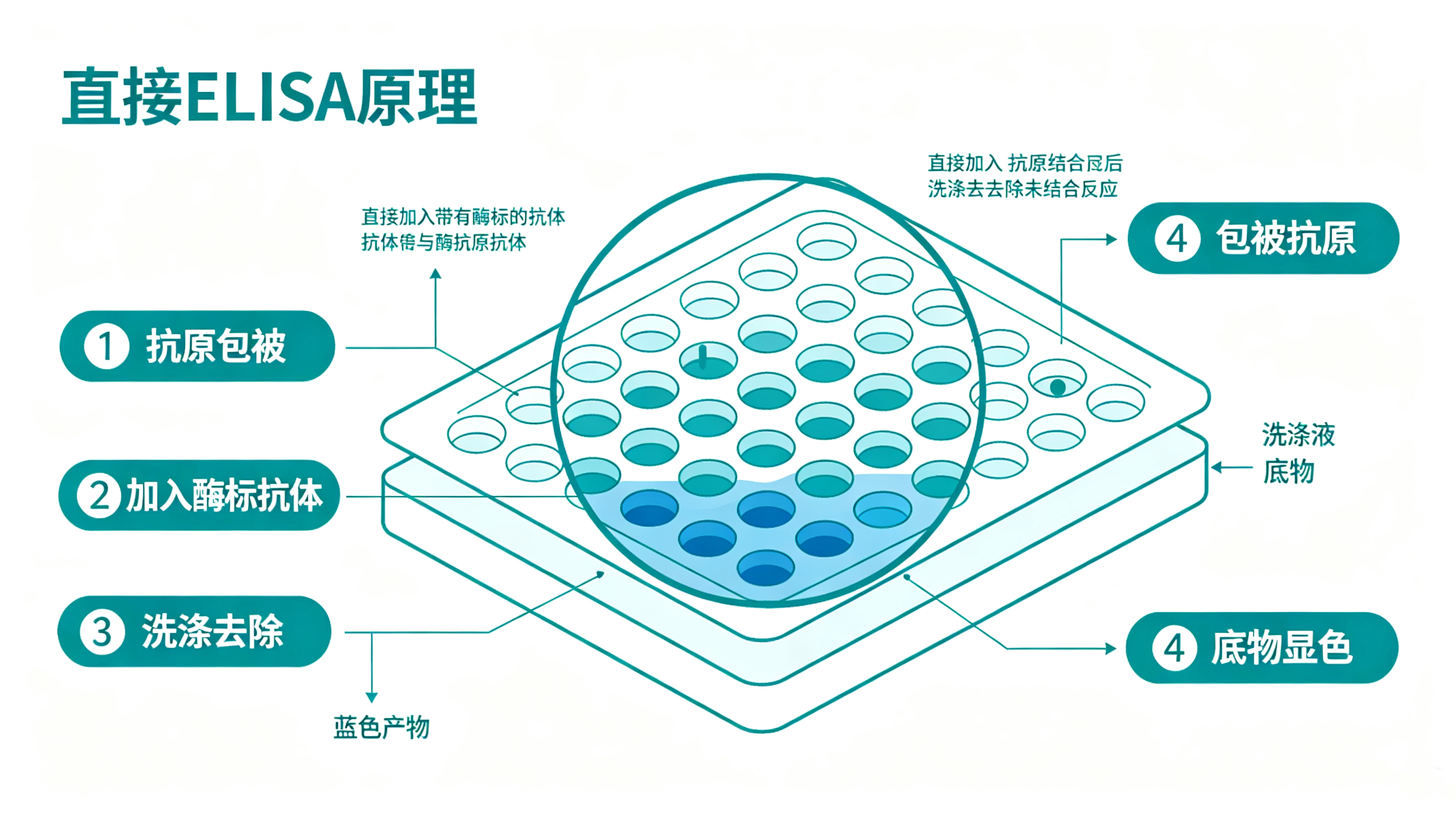 直接.jpg