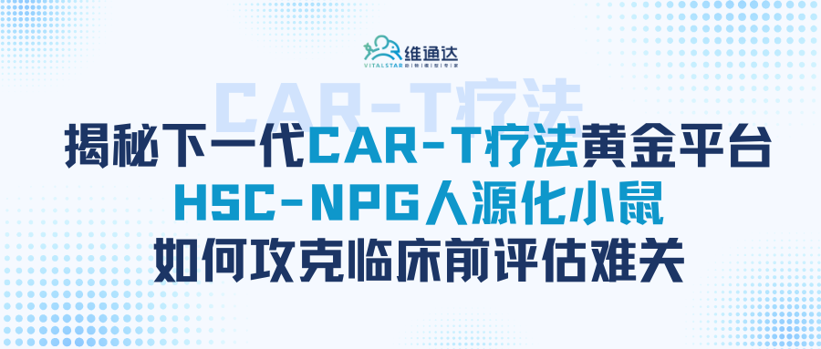 揭秘下一代CAR-T疗法黄金平台：HSC-NPG人源化小鼠如何攻克临床前评估难关