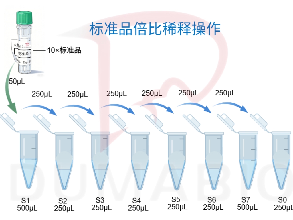 二档标准品稀释.jpg